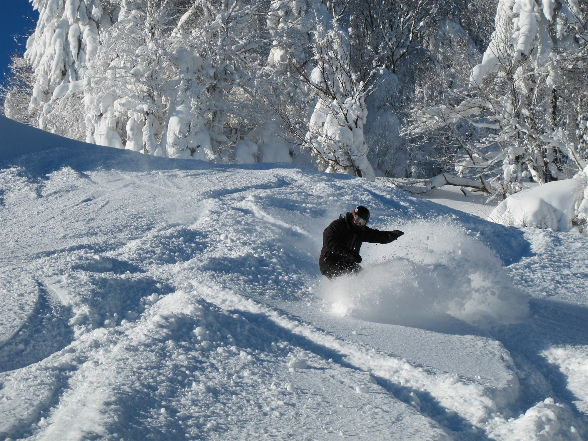 Inn At Snowshoe Buitenkant foto